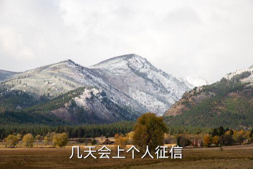 几天会上个人征信