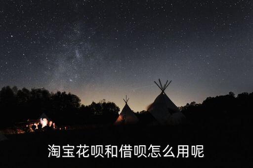 淘宝花呗和借呗怎么用呢