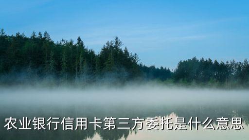 农业银行信用卡第三方委托是什么意思