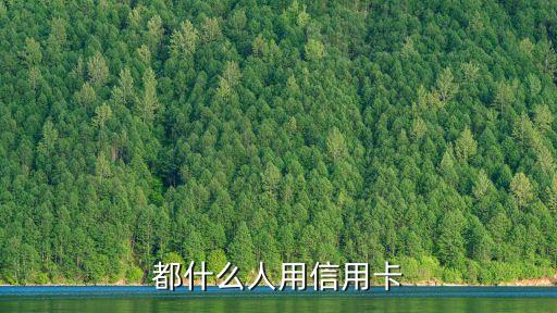 都什么人用信用卡