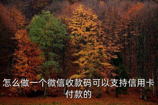 怎么做一个微信收款码可以支持信用卡付款的