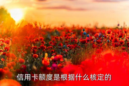 信用卡根据什么额度，信用卡额度是根据什么核定的