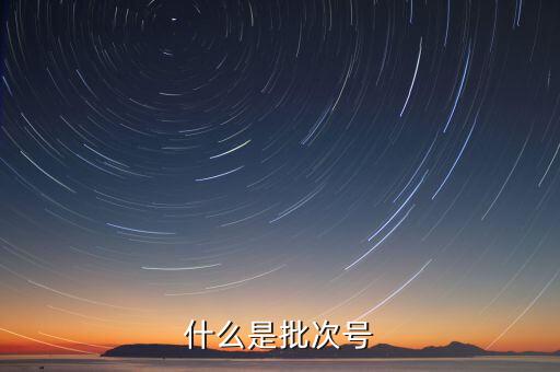 什么是批次号