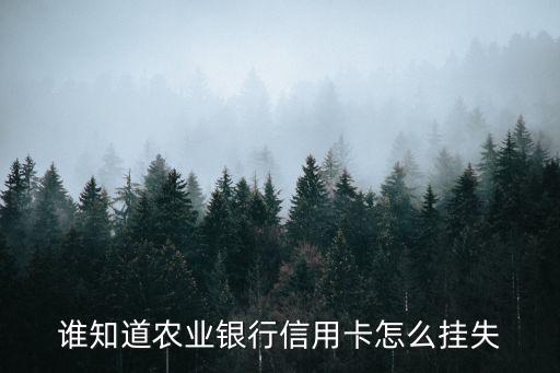 谁知道农业银行信用卡怎么挂失