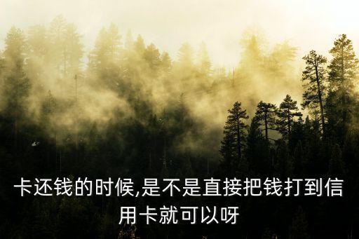 卡还钱的时候,是不是直接把钱打到信用卡就可以呀