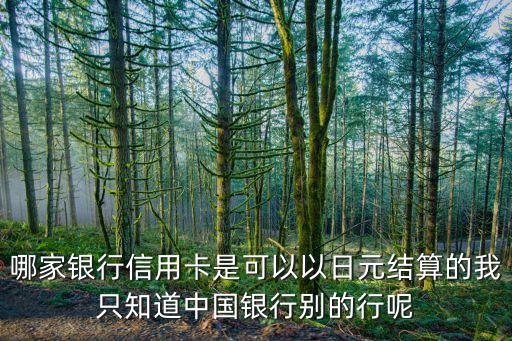 哪家银行信用卡是可以以日元结算的我只知道中国银行别的行呢