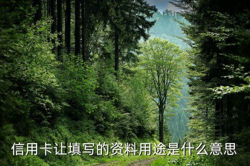 信用卡让填写的资料用途是什么意思