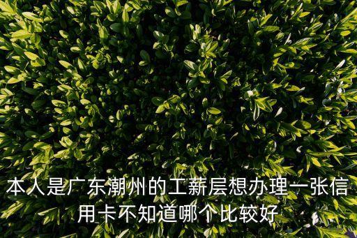 本人是广东潮州的工薪层想办理一张信用卡不知道哪个比较好
