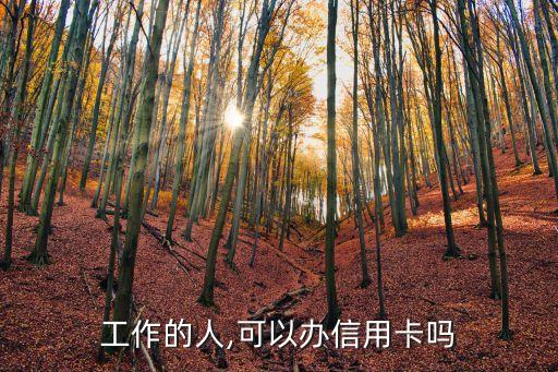 工作的人,可以办信用卡吗