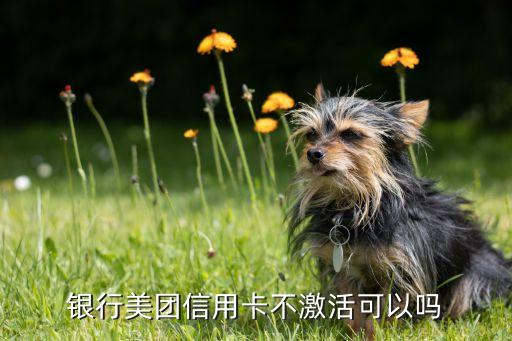 银行美团信用卡不激活可以吗
