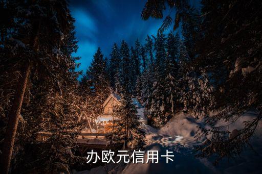 办欧元信用卡