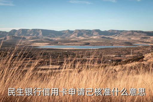 民生银行信用卡申请已核准什么意思