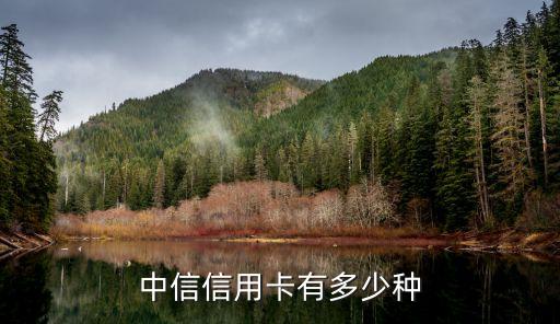 中信信用卡有多少种