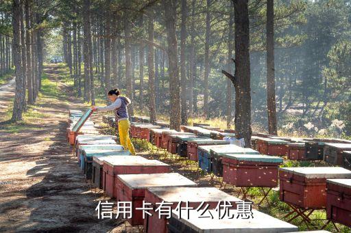 信用卡有什么优惠