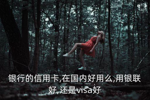 银行的信用卡,在国内好用么,用银联好,还是visa好