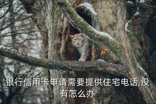 银行信用卡申请需要提供住宅电话,没有怎么办