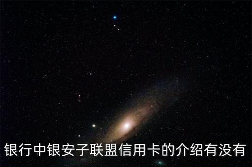 银行中银安子联盟信用卡的介绍有没有