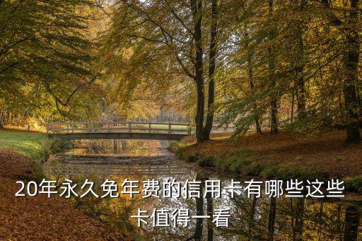 20年永久免年费的信用卡有哪些这些卡值得一看