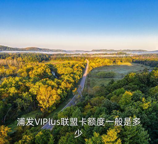 viplus信用卡是什么，浦发VIPlus联盟卡额度一般是多少