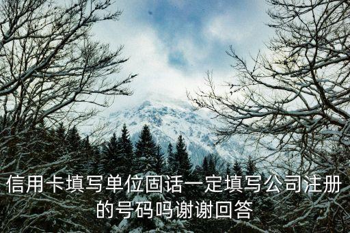 申请信用卡不填单位可以吗,申请信用卡不填公司电话可以吗