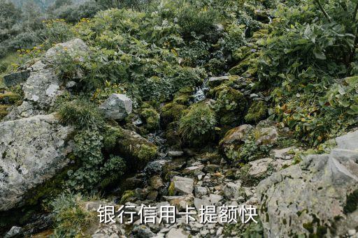 什么信用卡升额度块,哪张卡的信用额度高