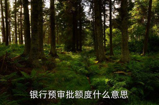 银行预审批额度什么意思