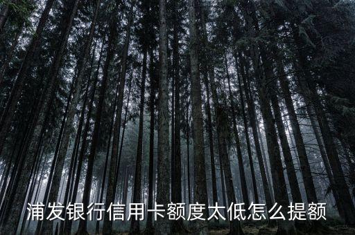 浦发银行信用卡额度太低怎么提额