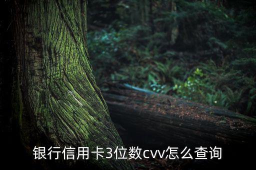 银行信用卡3位数cvv怎么查询