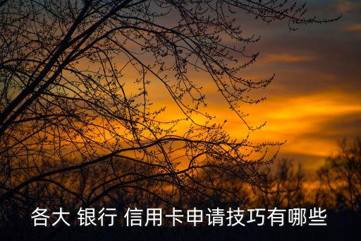 各大 银行 信用卡申请技巧有哪些