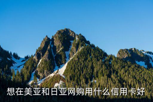 想在美亚和日亚网购用什么信用卡好