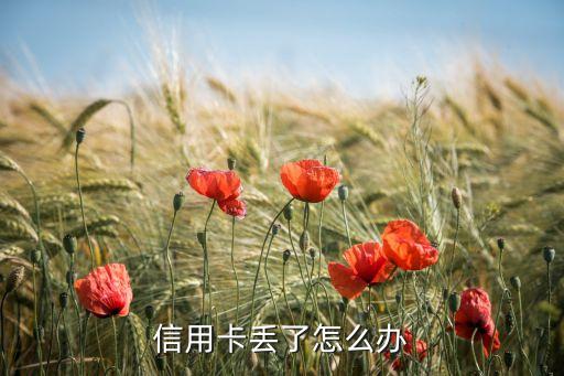 信用卡丢了怎么办