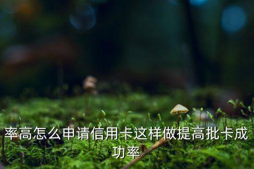 率高怎么申请信用卡这样做提高批卡成功率