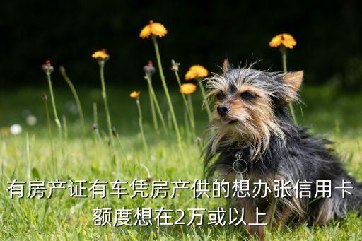 有房产证有车凭房产供的想办张信用卡额度想在2万或以上