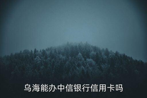 乌海能办中信银行信用卡吗