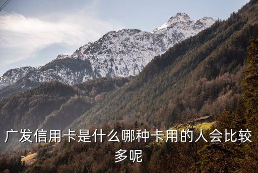 广发信用卡是什么哪种卡用的人会比较多呢