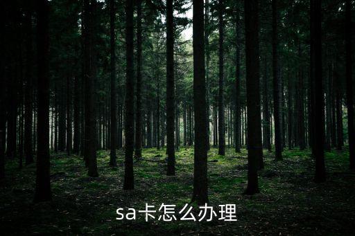 sa卡怎么办理
