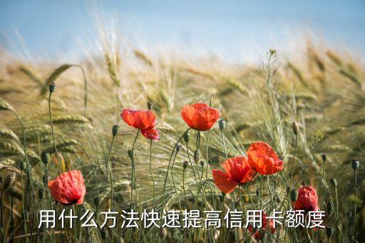 信用卡什么涨额度，怎么样提高信用卡的额度