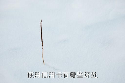 信用卡什么坏处，使用信用卡有哪些坏处