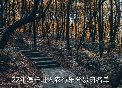 22年怎样进入农行乐分易白名单