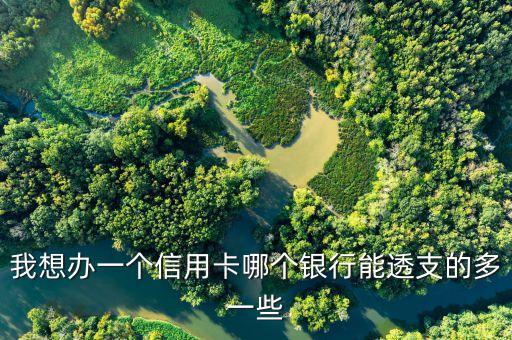 我想办一个信用卡哪个银行能透支的多一些