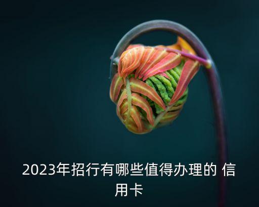 2023年招行有哪些值得办理的 信用卡