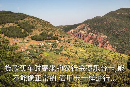 贷款买车时寄来的农行金穗乐分卡,能不能像正常的 信用卡一样进行...