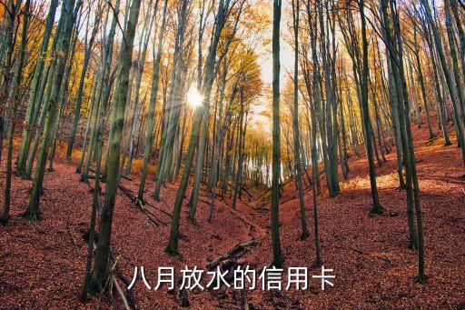 八月放水的信用卡