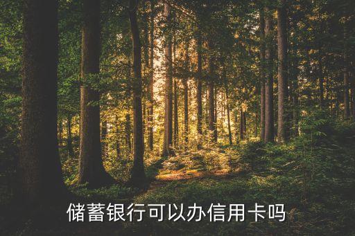储蓄银行可以办信用卡吗