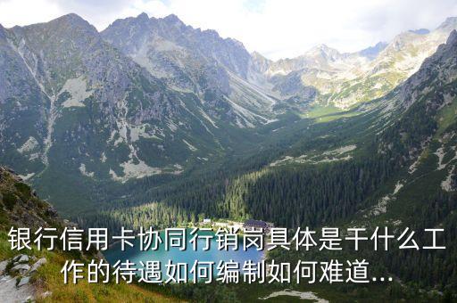 银行信用卡协同行销岗具体是干什么工作的待遇如何编制如何难道...