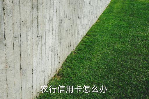 农行信用卡怎么办