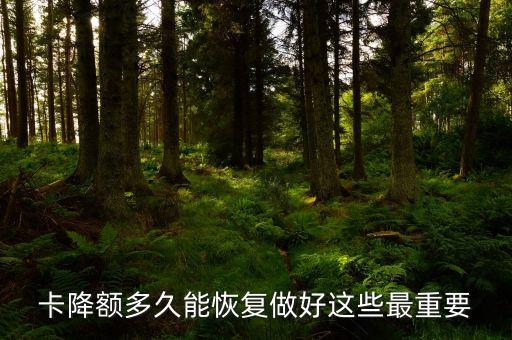 卡降额多久能恢复做好这些最重要