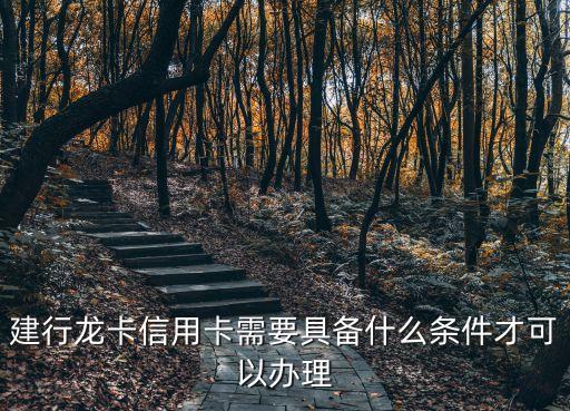 龙卡大学生信用卡申请条件,建行学生信用卡申请条件