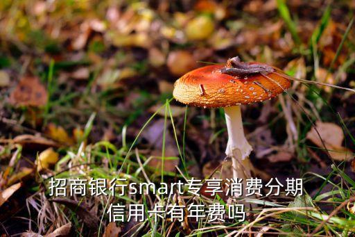  招商银行smart专享消费分期 信用卡有年费吗