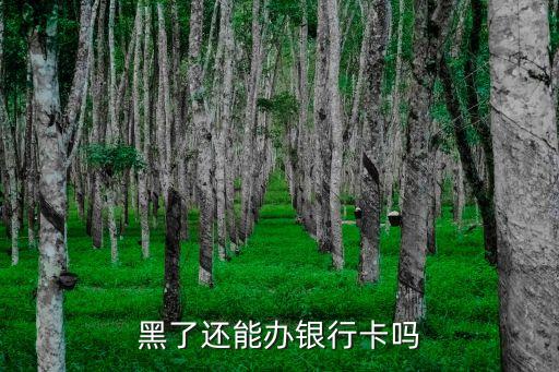 黑了还能办银行卡吗